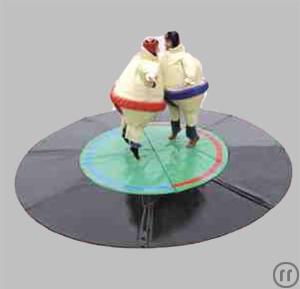 Sumo Ringen