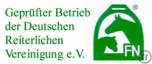 6-WIR  sind  Ihr  Partner  rund  ums  Pferd in der Region Halle  Leipzig und dem Saalekreis