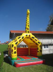 1-Giraffe "Mini"