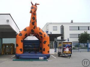 1-Giraffe "Resi"