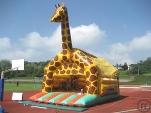 Giraffe "Rudi"