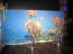 Unterwasserwelten Kulisse, Unterwasserwelten, Meer, Fische, Delphine, Hai, Haifisch, Ozean, Korallen Unterwasserwelten Kulisse, Unterwasserwelten, Meer, Fische, Delphine, Hai, Haifisch, Ozean, Korallen
