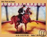 Pferd mit Reiter Kulisse, Pferd mit Reiter, Tiere, Reiter, Kulisse, Zirkus, Dekoration, Messe, Event