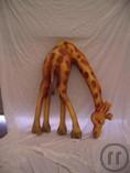 1-Giraffe, halbplastisch groß, Tiere, Afrika, Zoo, Dekoration, Messe, Event, Säugetier, ...
