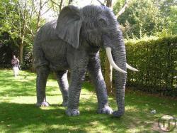 Elefant XXL, Afrika, Tiere, Tier, Zoo, Reservat, Groß, Säugetier, Savanne, Dschungel, Dekoration, Me Elefant XXL, Afrika, Tiere, Tier, Zoo, Reservat, Groß, Säugetier, Savanne, Dschungel, Dekoration, Me