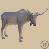 Elch, Norwegen, Schweden, Natur, Tier, Kanada, Skandinavien, Hirsch, Elchkuh, Nordamerika, Elchbulle Elch, Norwegen, Schweden, Natur, Tier, Kanada, Skandinavien, Hirsch, Elchkuh, Nordamerika, Elchbulle