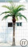 1-Palme XXL, Palme, Strand, Las Vegas, Süden, Karibik, Karibik Inseln, Karibik Dekoration, Str...