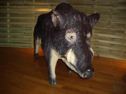 Wildschwein, Schwein, Tier, Wald, Lebewesen, Dekoration, Messe, Event, Sau, Schwarzwald, Deutschland Wildschwein, Schwein, Tier, Wald, Lebewesen, Dekoration, Messe, Event, Sau, Schwarzwald, Deutschland