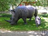 Nashorn, Afrika, Zoo, Tier, Savanne, afrikanisches Tier, Dekofigur, Afrika Dekoration, Zoo Dekoratio Nashorn, Afrika, Zoo, Tier, Savanne, afrikanisches Tier, Dekofigur, Afrika Dekoration, Zoo Dekoratio