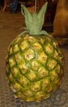 Ananas, Obst, Frucht, Gemüse, Essen, Amerika, Dekoraiton, Messe, Event, Veranstaltungsdekoration, Ev Ananas, Obst, Frucht, Gemüse, Essen, Amerika, Dekoraiton, Messe, Event, Veranstaltungsdekoration, Ev