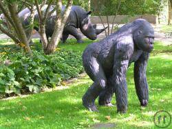 Gorilla, Affe, Afrika, Zoo, Dschungel, Tier, Dekoration, Messe, Event, Säugetier, Menschenaffen, Ber Gorilla, Affe, Afrika, Zoo, Dschungel, Tier, Dekoration, Messe, Event, Säugetier, Menschenaffen, Ber