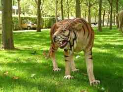 Tiger, Zoo, Tier, Raubtier, Großkatze, Raubkatze, Asien, Dekoration, Messe, China, Indien, Sibirien, Tiger, Zoo, Tier, Raubtier, Großkatze, Raubkatze, Asien, Dekoration, Messe, China, Indien, Sibirien,