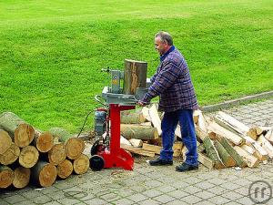 Holzspalter / elektrische Spaltaxt