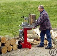 Holzspalter für Kaminholz, 6 t