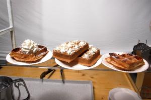 2-BELGISCHE WAFFELN im Funfood Stand inkl. Personal