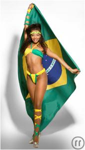 4-FIESTA BRASIL