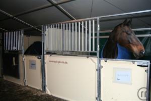 1-Mobile Pferdebox / Turnierbox
zum Vermieten für Ihre Pferdeturniere.