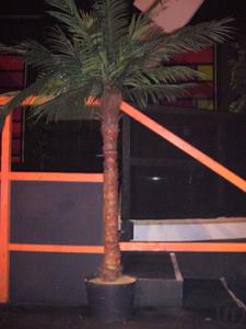1-Kunstpflanze Palme 1,90m