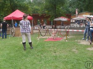 2-Lasso Werfen
- ideal für das Themenevent "Wilder Westen" oder Thema "Circus&...