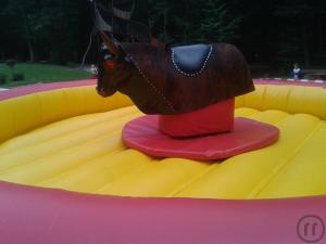 1-Rodeo Bullriding, Bullriding, Rodeo Bullriding
- für Kinder und Erwachsene