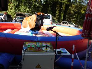"American Rodeo Star"
kein Multi-Rider, sondern die Original- Wettbewerbs-Anlage