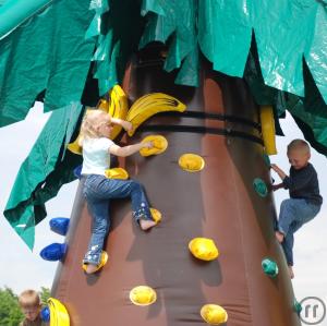 3-INKL.VERSAND Kletterpalme / Kletterberg - inkl. Versand,Rückholung und 19% MwSt.