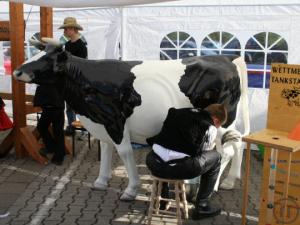 Wettmelken / Melk-Kuh / Lebensechte Kuh für Wettbewerbe und Funaktionen mieten