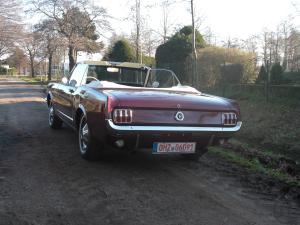 6-Ford Mustang V8