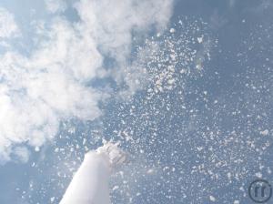 INKL.VERSAND Snowdancer 8 m inkl. Versand,Rückholung und 19% MwSt.