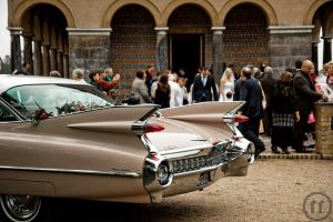 2-Hochzeitsauto´59er Cadillac in Berlin mieten