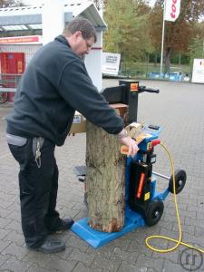 1-Holzspalter für Kaminholz, 10 t