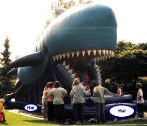 2-Snappy Hai – Lasst euch vom Hai verschlingen !!!