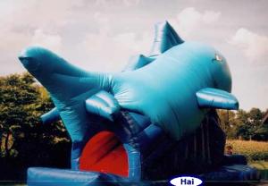 3-Snappy Hai – Lasst euch vom Hai verschlingen !!!