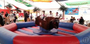 1-Bullriding