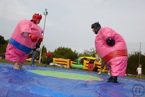 2-Sumo Wrestling