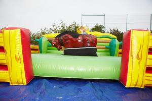 3-Bullriding