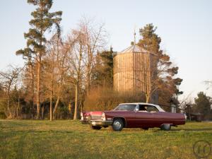 6-Cadillac Oldtimer Cabrio als Hochzeitsauto selbst fahren