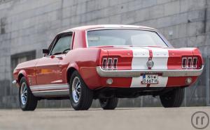 3-Ford Mustang Oldtimer V8 1967 als Hochzeitsfahrzeug selbst fahren