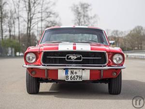 Ford Mustang Coupé Oldtimer 1967 selbst fahren in Frankfurt