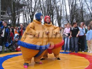 SUMO WRESTLING / KANGAROO BOXING / SUMO RINGEN