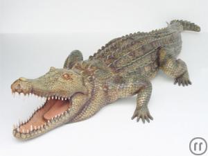 Alligator, Krokodil, Afrika, Reptil, Südamerika, Indien, Australien, Tier, Dekoration, Messe, Event,