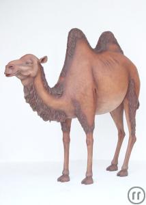 1-Kamel groß, Kamel, Camel, Figur, Tier, Zoo, Wüste, Dromedar, Wüstenschiff, Trampe...