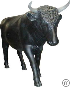 Stier, Tier, deutscher Stier, spanischer Stier, Deutscher Stier, Spanischer Stier, Deutschland