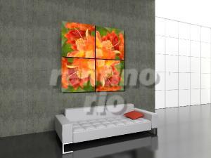 Farben-Froh - Bildkombination mit orangen Blumen gedreht