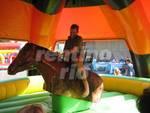 Rodeo Pferd inkl. Betreuungspersonal und Haftpflichtversicherung / Horse Riding Simulator