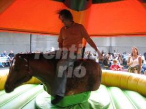 3-Rodeo Pferd inkl. Betreuungspersonal und Haftpflichtversicherung / Horse Riding Simulator