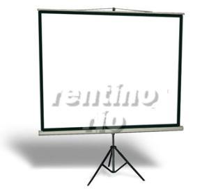 1-Mobile Stativ-Leinwand 2x2m