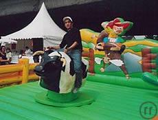 2-Bullriding (ohne Animateur, Musik und Moderation)