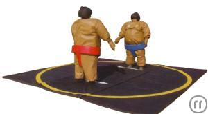 Sumo Wrestling