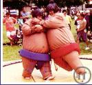 1-SUMO WRESTLING